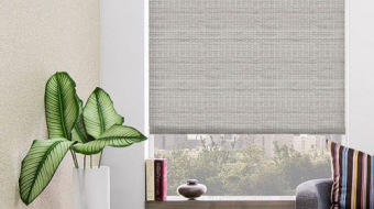 7eecc067-e5fa-453c-9bb5-dcd5a02754f7-500x615