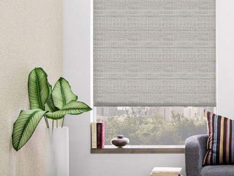 7eecc067-e5fa-453c-9bb5-dcd5a02754f7-500x615